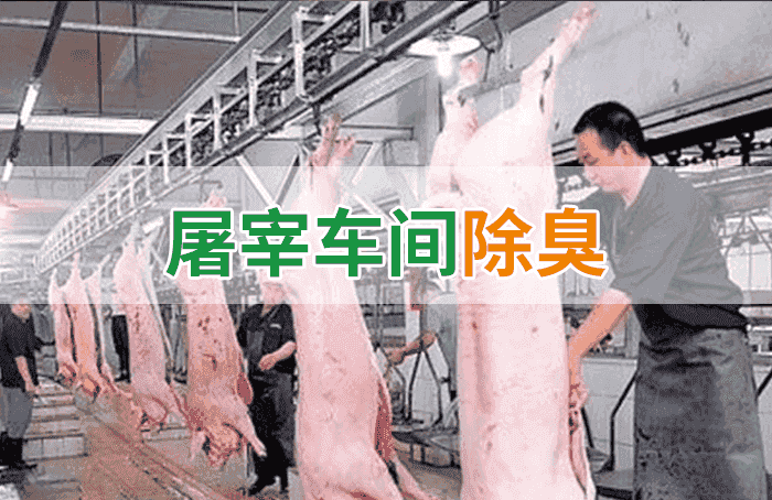 潔匠凈化·的凈工業(yè)除臭劑_屠宰場(chǎng)臭氣影響周邊環(huán)境？解決辦法在這里-1