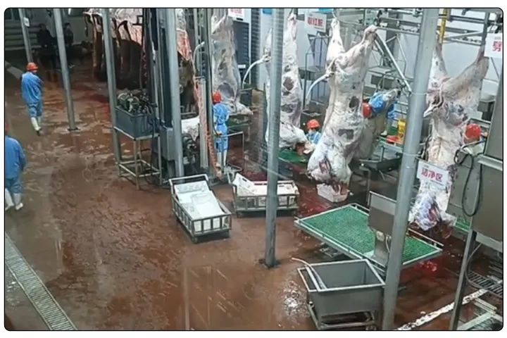 潔匠凈化·的凈工業(yè)除臭劑_屠宰工廠惡臭影響周邊，使用除臭劑有什么注意要點(diǎn)？