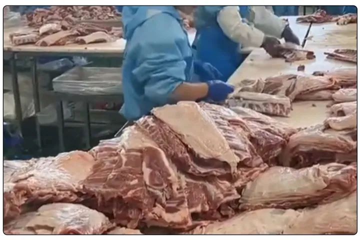 屠宰工廠惡臭影響周邊，使用除臭劑有什么注意要點？.jpg