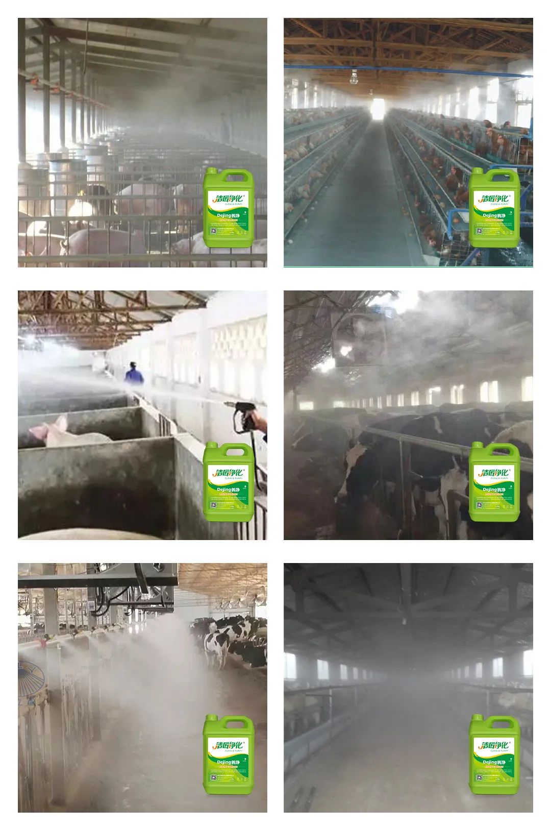 養(yǎng)殖場(chǎng)太臭，用Dejing的凈除臭劑迅速除臭！豬圈/雞場(chǎng)/牛場(chǎng)/羊圈....jpg