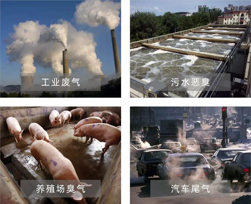 Dejing的凈工業(yè)除臭劑——解決臭味困擾的源頭！.jpg
