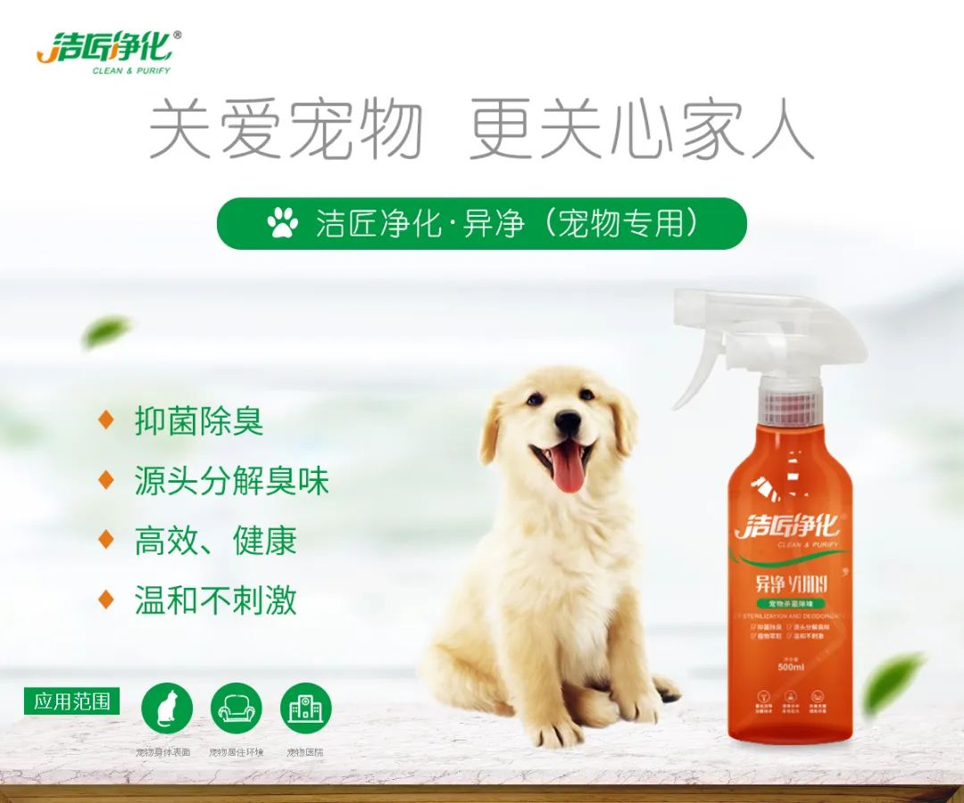 寵物氣味彌漫整個屋子，潔匠凈化教您如何除味