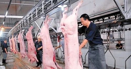 屠宰場(chǎng)臭氣影響周邊環(huán)境？解決辦法在這里.jpg